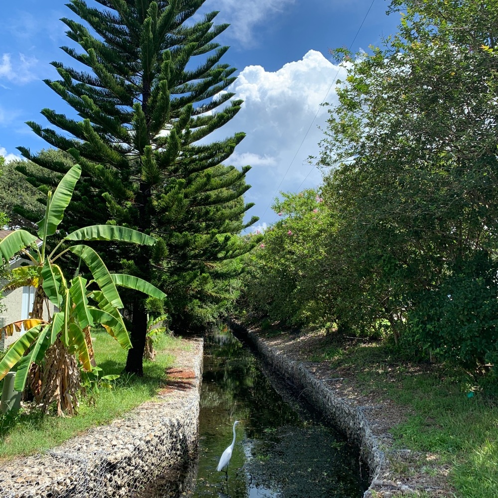 Meet your Posher, Felipe